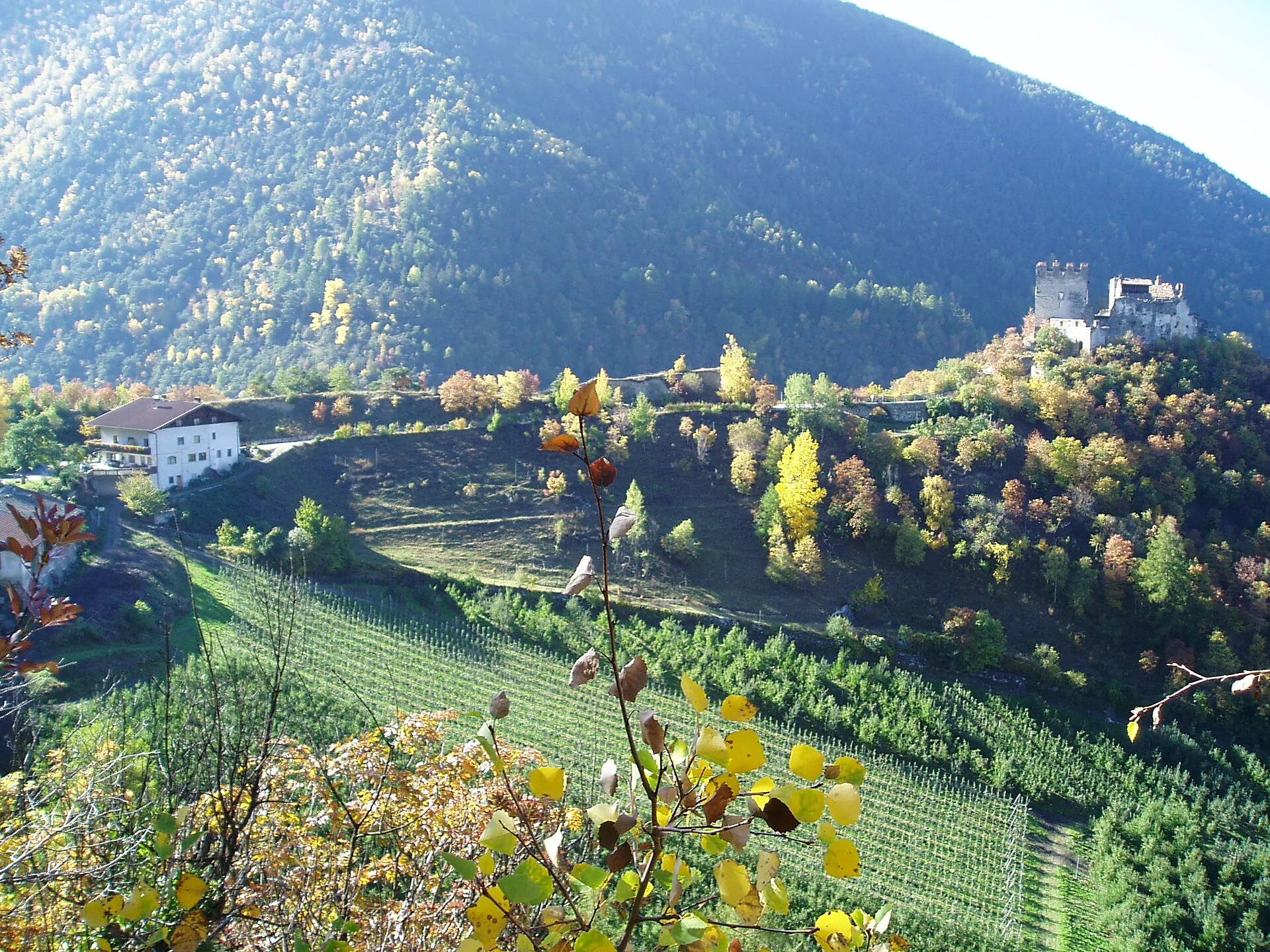 Burg Obermontani über den Obstgärten bei Morter